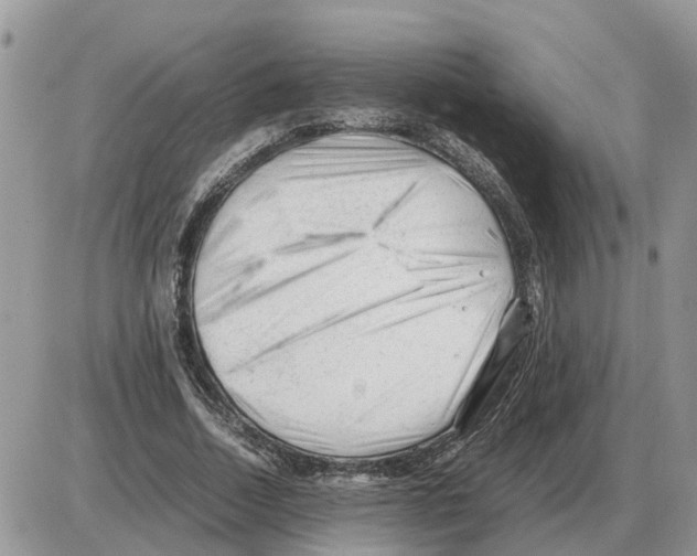 X0000086060730200704202100