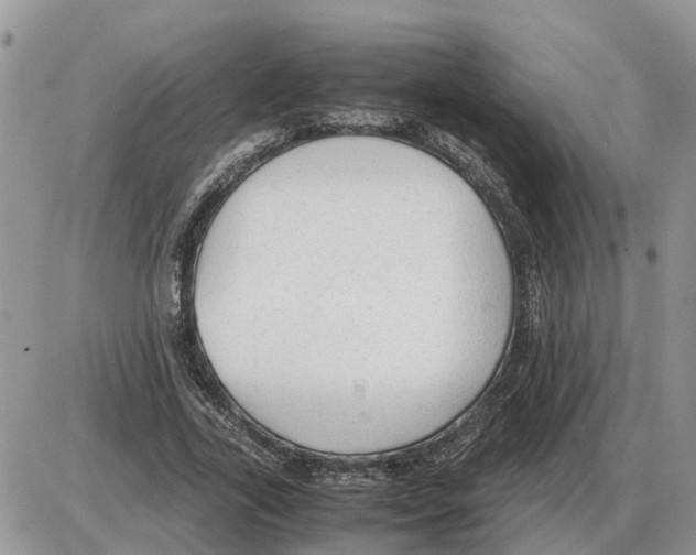 X0000086060731200704202100