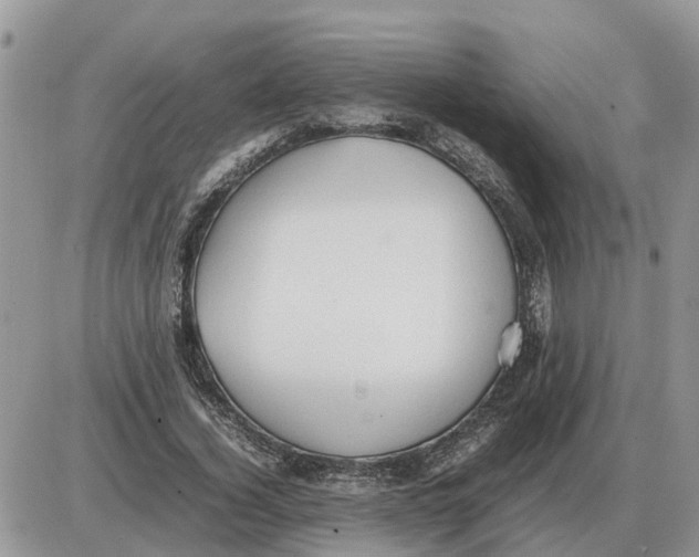 X0000086060732200704202100