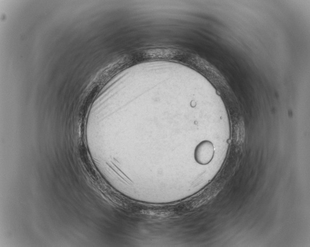 X0000086060733200704202100