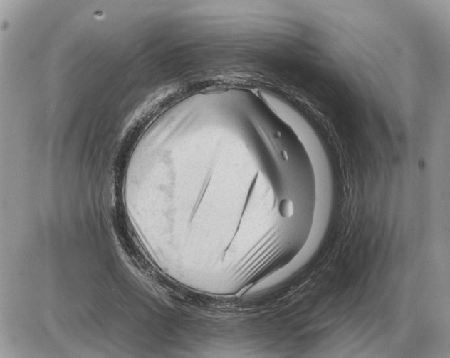 X0000086060734200704202100