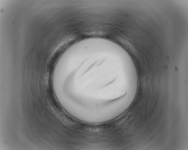 X0000086060735200704202100