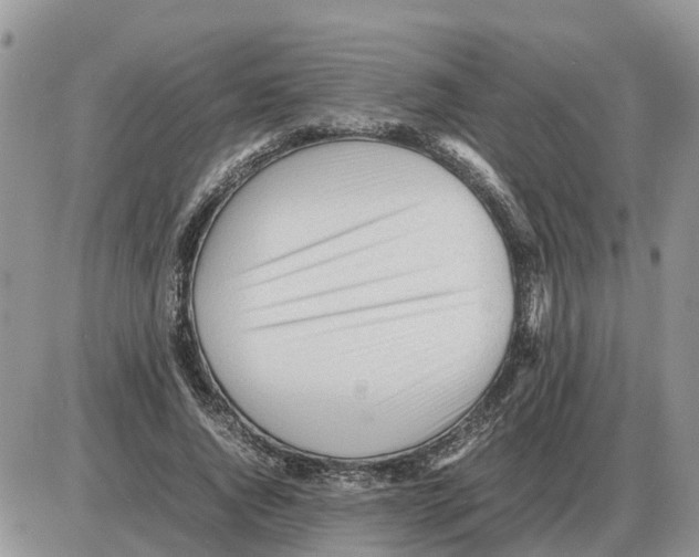 X0000086060736200704202100