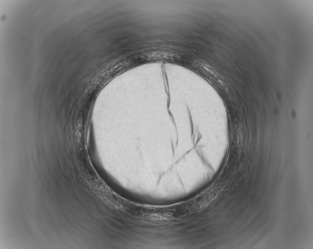 X0000086060737200704202100