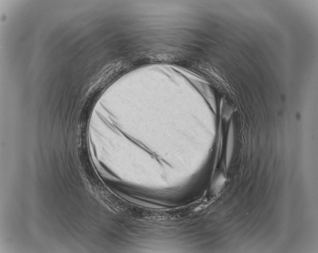 X0000086060738200704202100