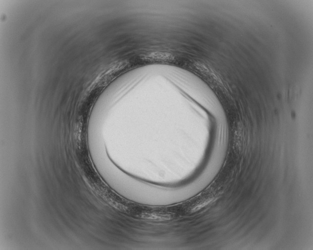 X0000086060739200704202100