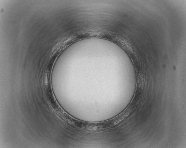 X0000086060740200704202100