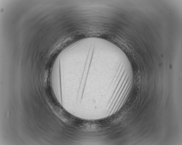 X0000086060742200704202100