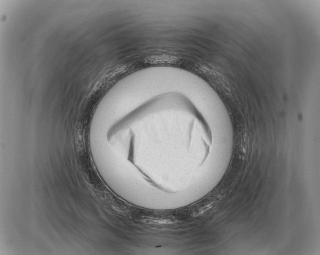 X0000086060743200704202100