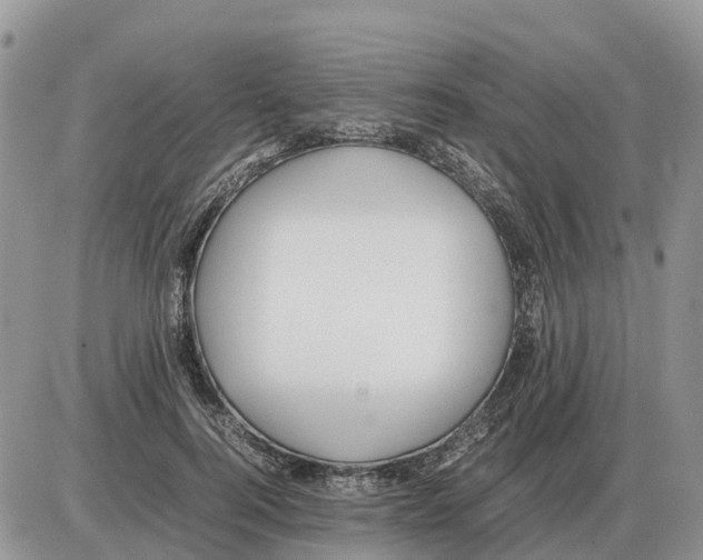 X0000086060744200704202100