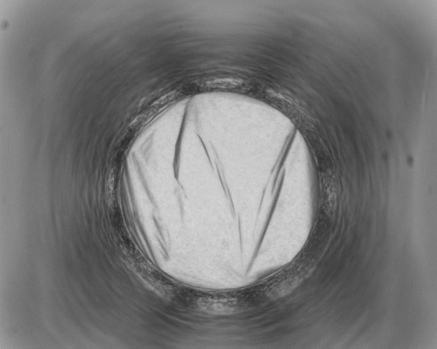 X0000086060745200704202100