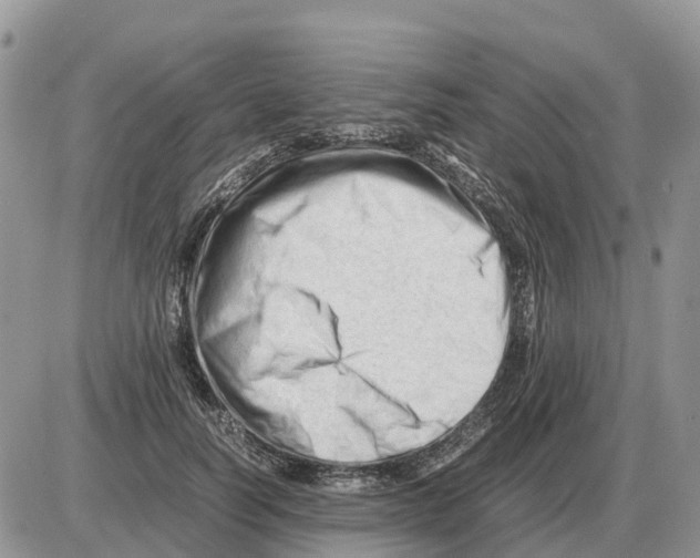 X0000086060746200704202100