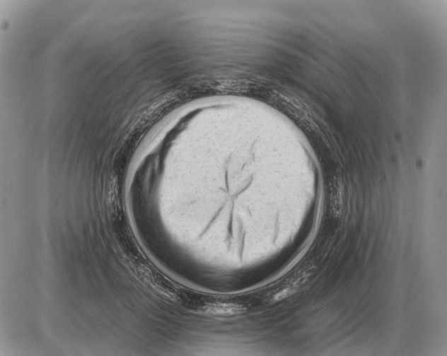 X0000086060748200704202100