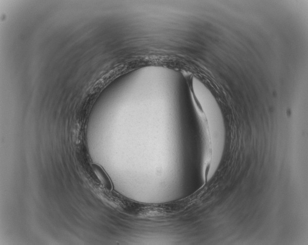 X0000086060750200704202100