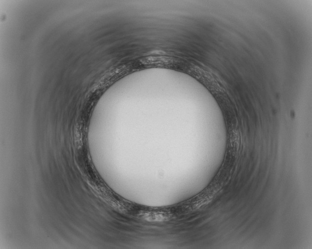 X0000086060751200704202100