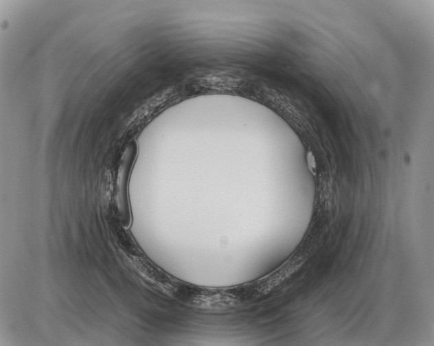 X0000086060752200704202100