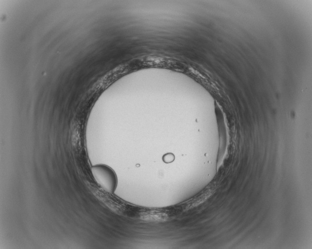 X0000086060754200704202100