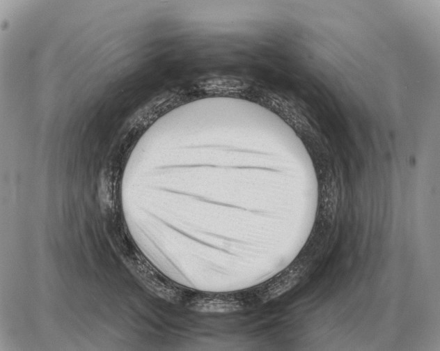 X0000086060755200704202100