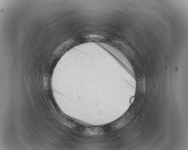 X0000086060757200704202100