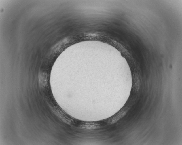 X0000086060758200704202100