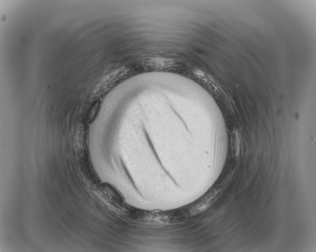 X0000086060760200704202101