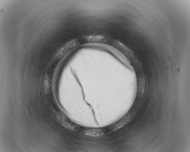 X0000086060761200704202101