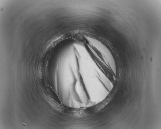 X0000086060762200704202101