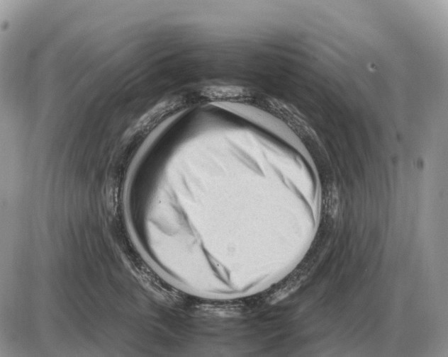 X0000086060763200704202101