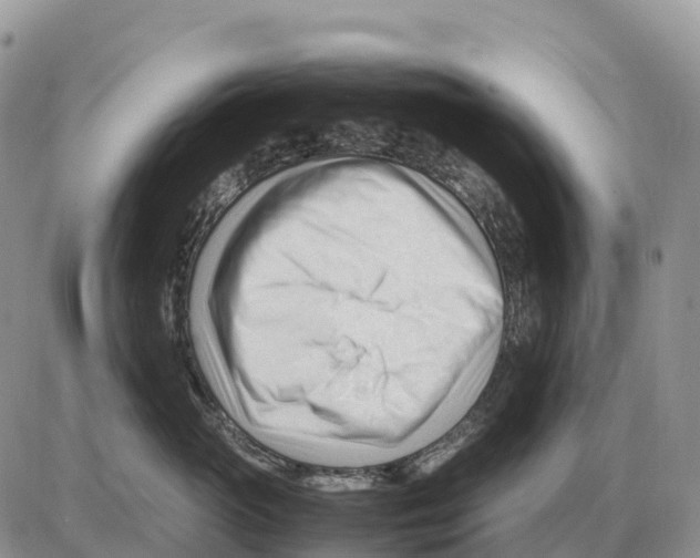 X0000086060765200704202101