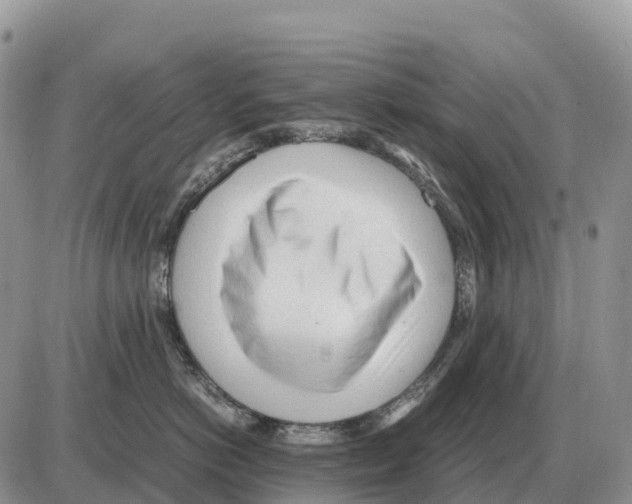 X0000086060766200704202101