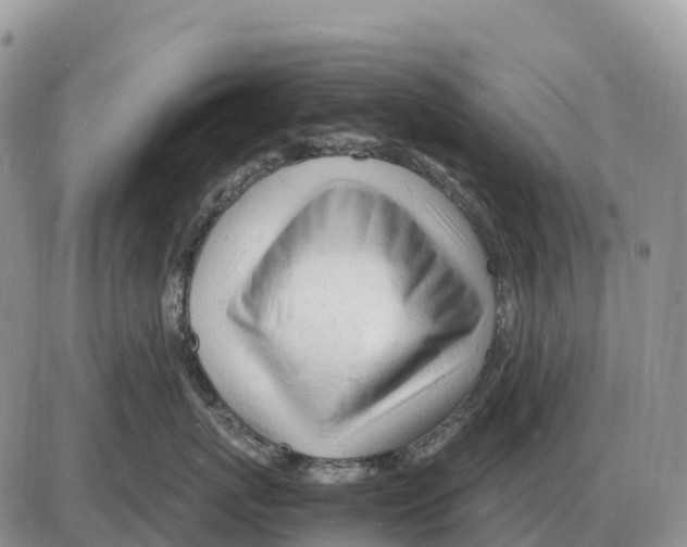 X0000086060767200704202101