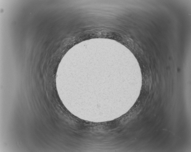 X0000086060769200704202100