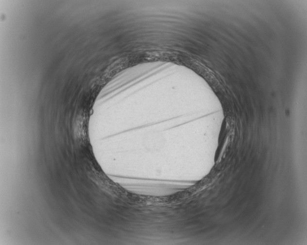 X0000086060770200704202100