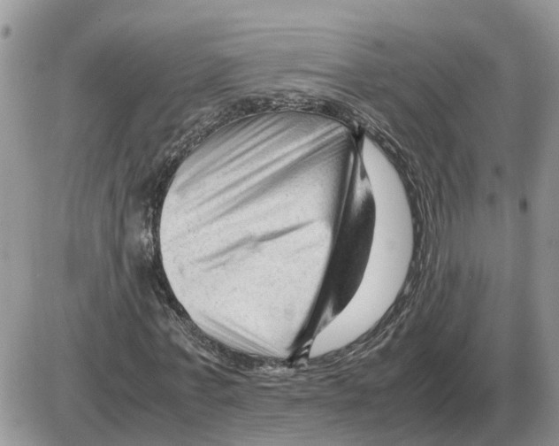 X0000086060771200704202100