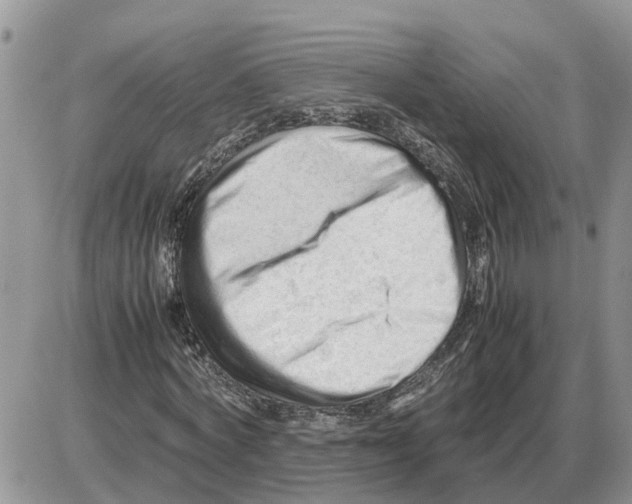 X0000086060772200704202100