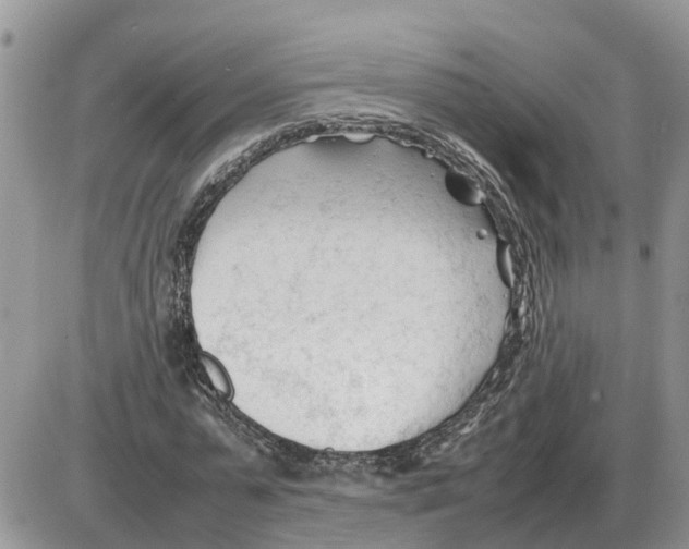 X0000086060775200704202100