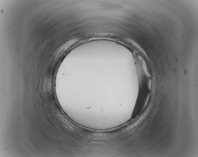 X0000086060777200704202100