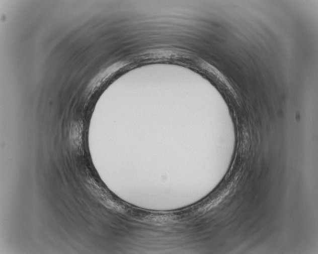 X0000086060778200704202100