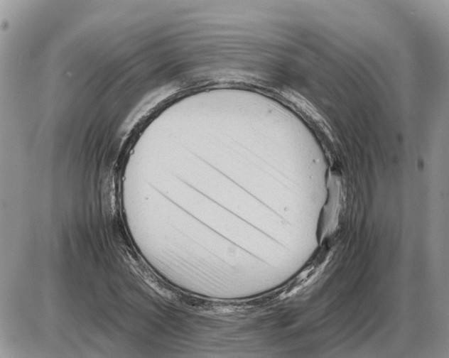 X0000086060782200704202100