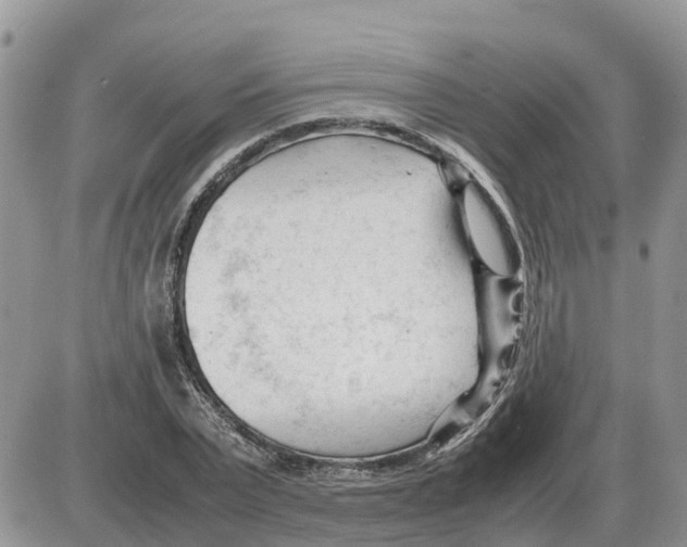 X0000086060783200704202100