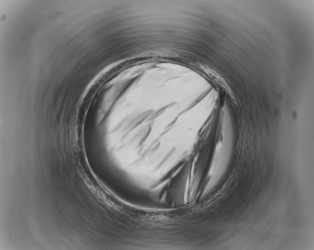 X0000086060784200704202100