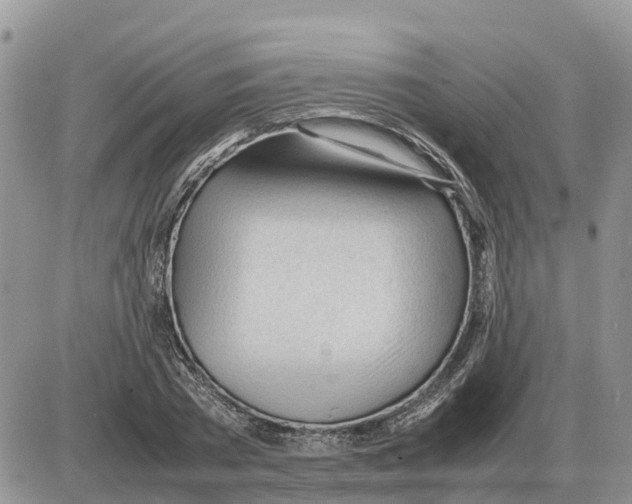 X0000086060785200704202100