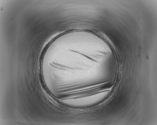 X0000086060787200704202100