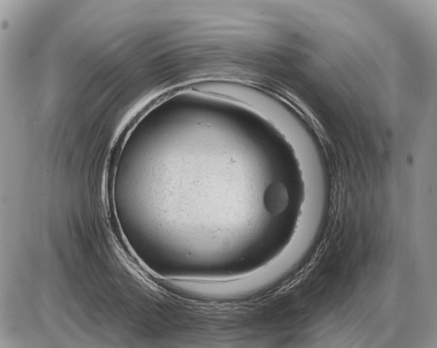 X0000086060788200704202100