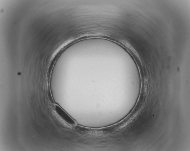 X0000086060789200704202100