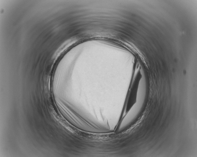 X0000086060790200704202100