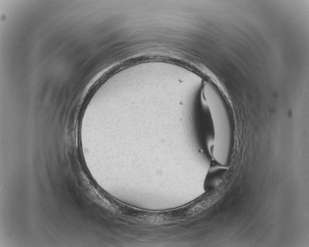 X0000086060791200704202059