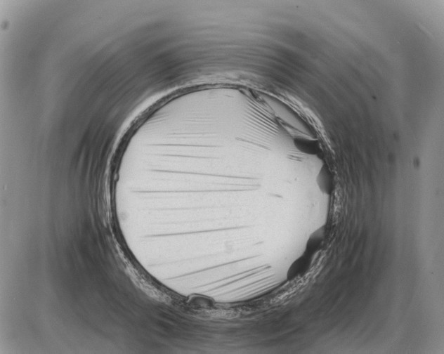 X0000086060792200704202059