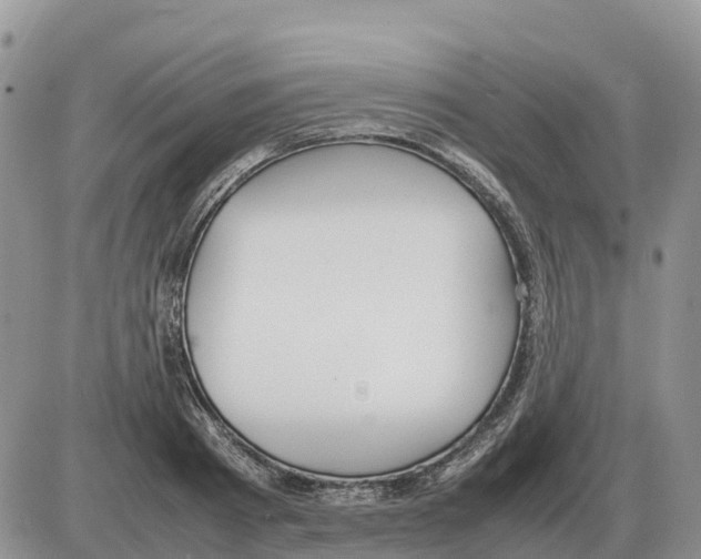 X0000086060793200704202059