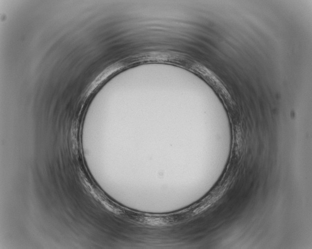 X0000086060794200704202059